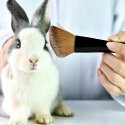 Why a Person Should Use Cruelty-Free Skincare